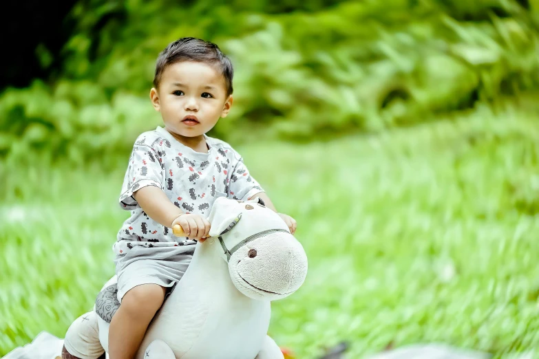 a little boy that is sitting on a toy horse, by Basuki Abdullah, pexels contest winner, realism, thumbnail, square, gray, high quality image