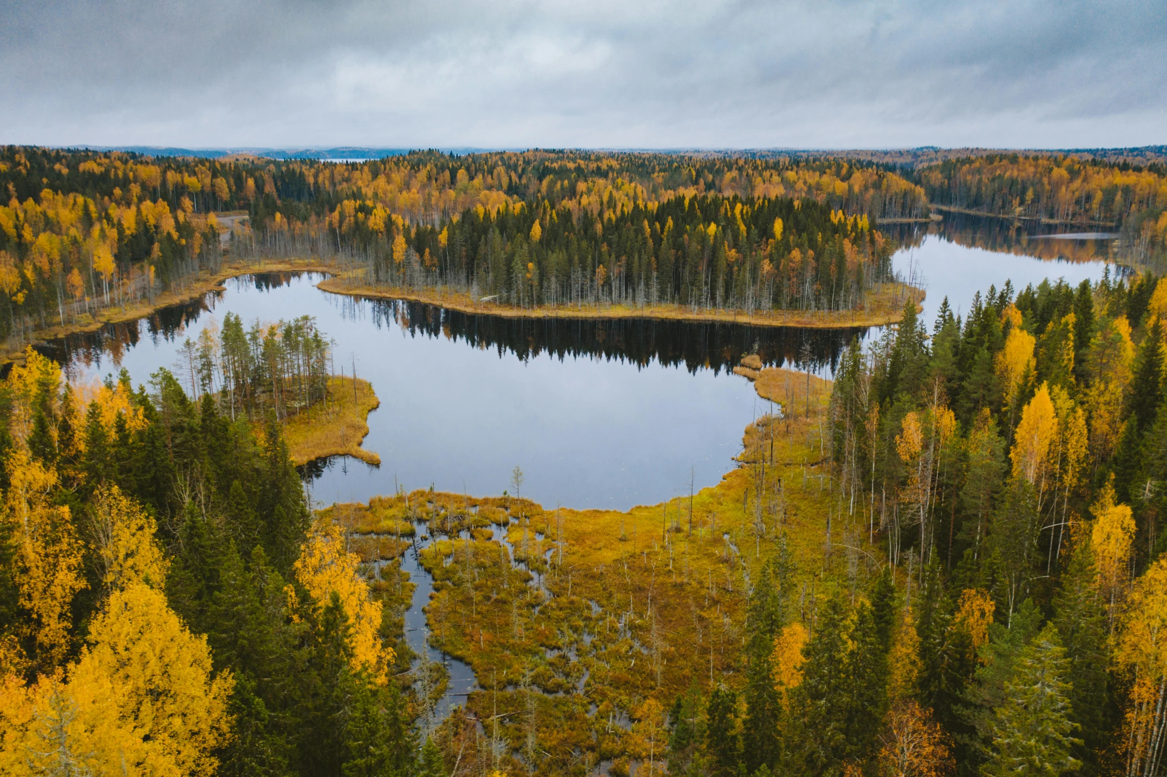 a large body of water surrounded by trees, by Jaakko Mattila, pexels contest winner, hurufiyya, vibrant but dreary gold, wide high angle view, grey forest in the background, full colour