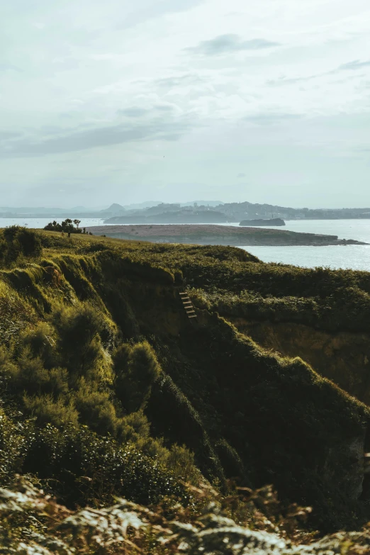 a man standing on top of a cliff next to a body of water, a matte painting, unsplash contest winner, a landscape of hedge maze, golden bay new zealand, panorama distant view, vallejo