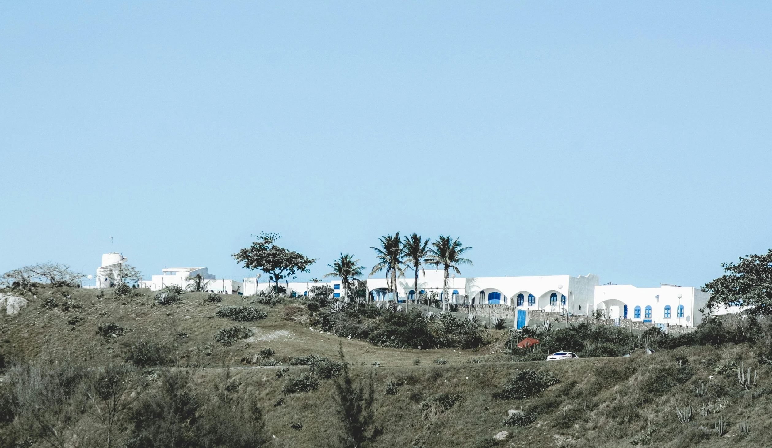 a man flying a kite on top of a lush green hillside, les nabis, white building, dried palmtrees, background image, white and blue