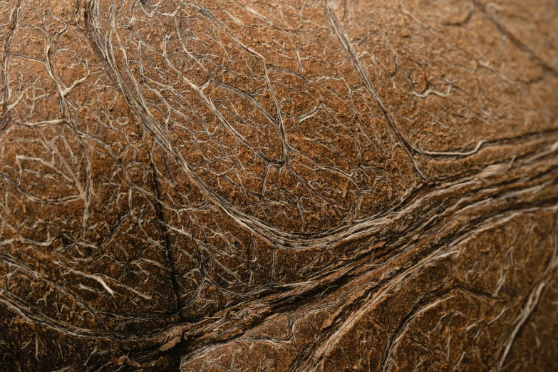 a close up of the skin of a coconut, inspired by Patrick Dougherty, unsplash, hyperrealism, high resolution product photo, bronze material, brown, grain”