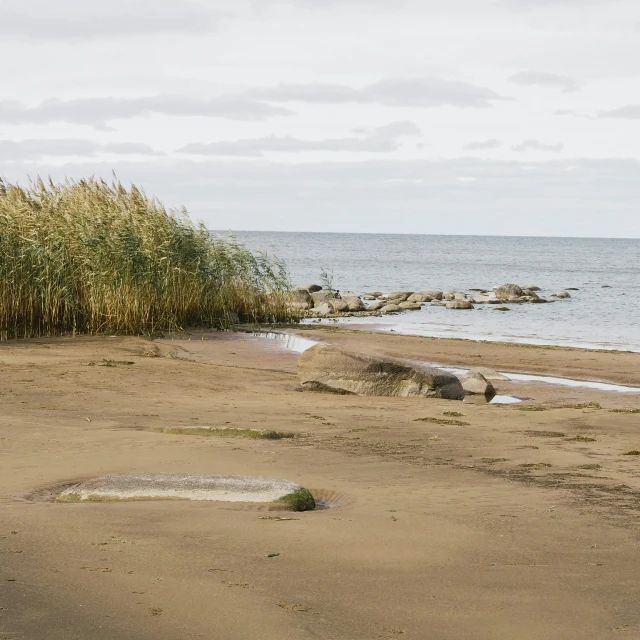 a bench sitting on top of a sandy beach next to the ocean, by Grytė Pintukaitė, land art, small reeds behind lake, rocky seashore, ignant, seen from far away