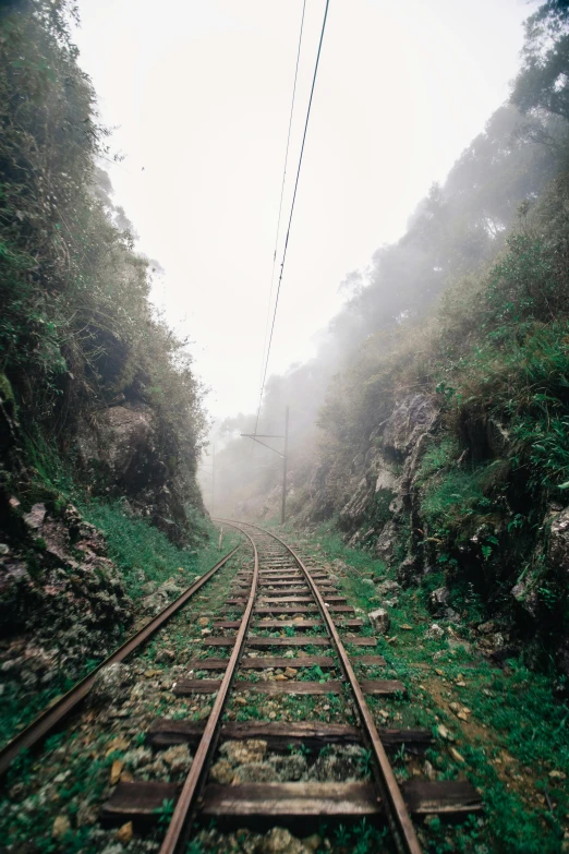 a train track running through a lush green forest, by Elsa Bleda, ivan bolivian, foggy, rocky terrain, 1990s photograph