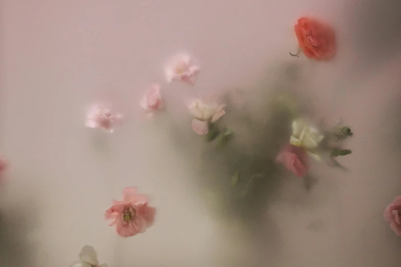 a bunch of pink and white flowers in a vase, an album cover, by Emma Andijewska, trending on unsplash, romanticism, made of mist, floating bodies, ignant, blurry image
