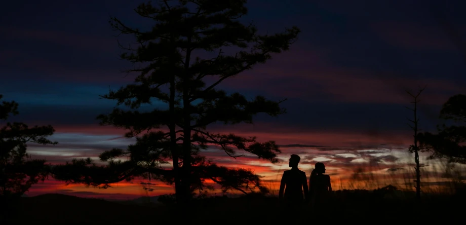 a couple of people standing next to a tree, by Jessie Algie, unsplash contest winner, sunset kanagawa prefecture, profile image, summer night, forest fires in the distance