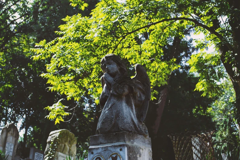 a statue of an angel in a cemetery, a statue, by Elsa Bleda, unsplash, built into trees and stone, christina kritkou, a quaint, a green