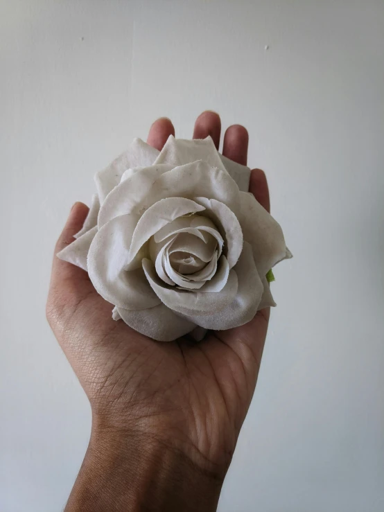 a person holding a white rose in their hand, a marble sculpture, by Rebecca Horn, made of silk paper, large rose flower head, porcelain skin tone, pale grey skin