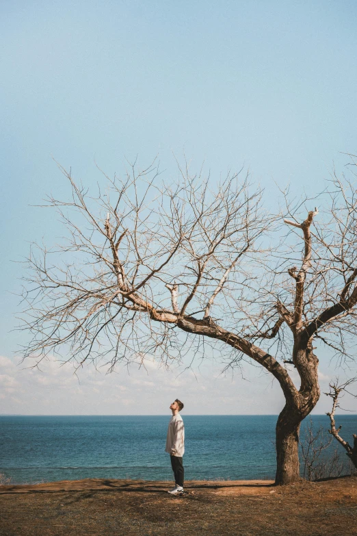 a man standing in front of a tree next to the ocean, a picture, inspired by Elsa Bleda, unsplash contest winner, renaissance, photo of a woman, bali, blue skies, wedding