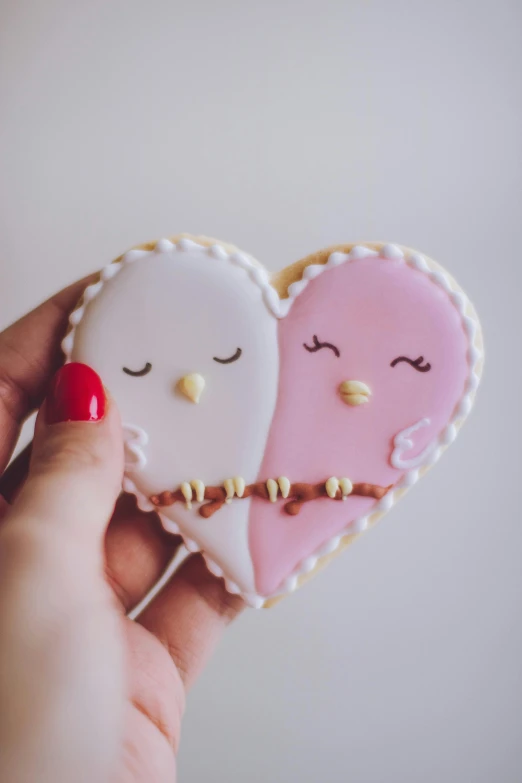 a close up of a person holding a heart shaped cookie, owls, white and pink, uploaded, couple