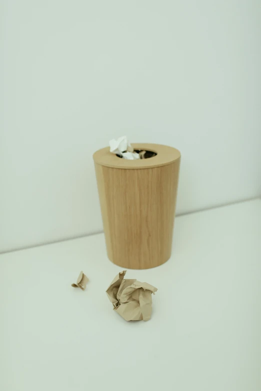 a close up of a trash can on a table, by Pablo Rey, light wood, gum tissue, detailed product image, small