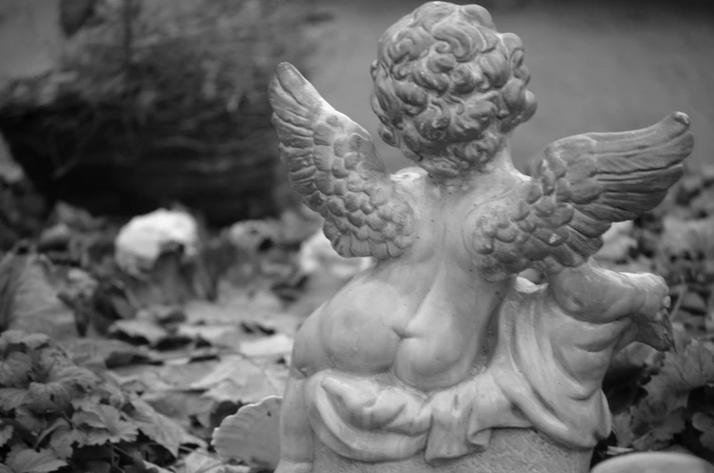a statue of an angel in a garden, pixabay, baroque, holga 120n, wings on back, back and white, putti