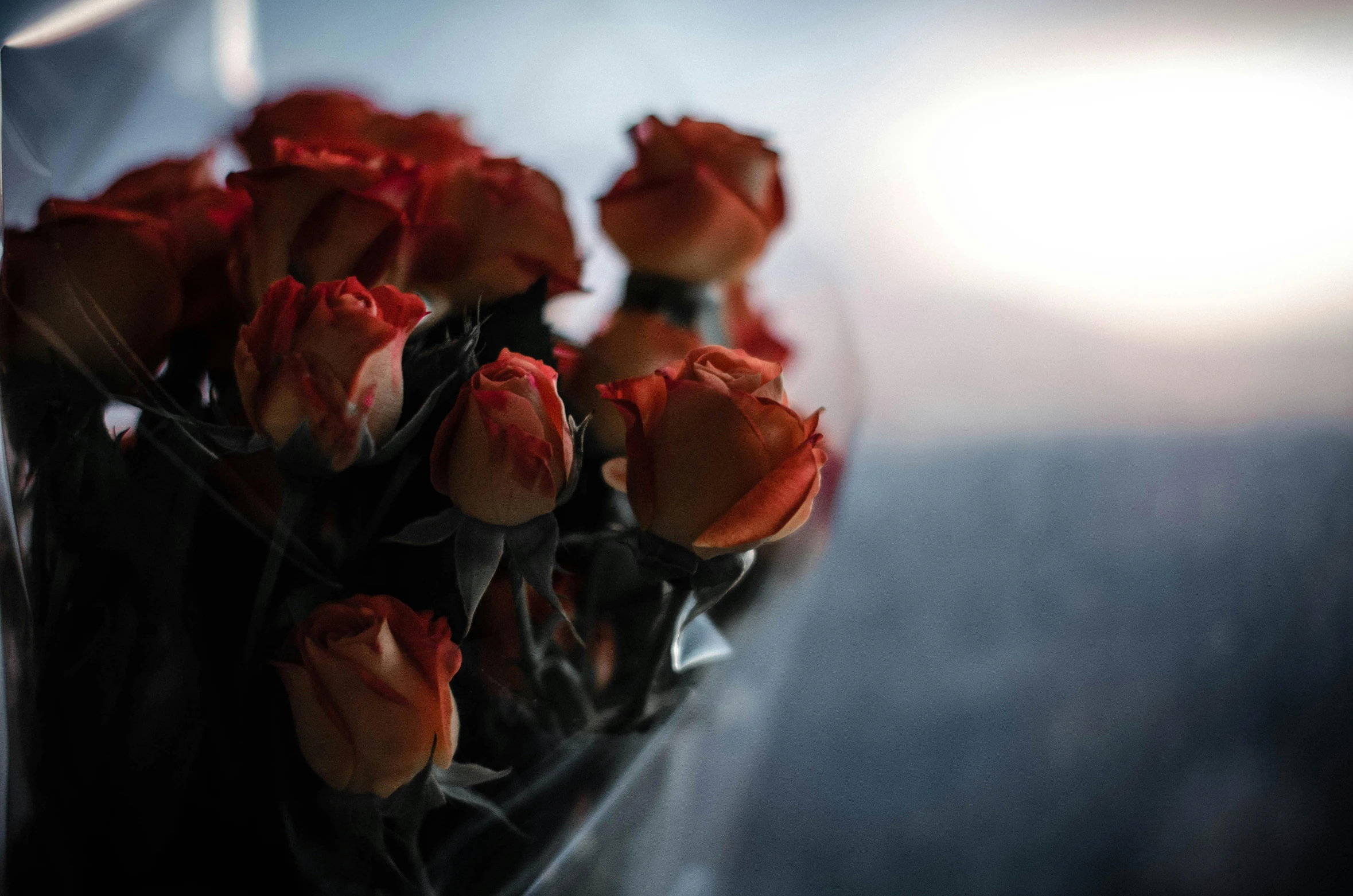 a close up of a bunch of flowers in a vase, in the evening, red roses at the top, alessio albi, orange tones