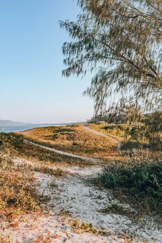 a dirt road next to a body of water, unsplash contest winner, great barrier reef, grassy hill, soft shade, near the beach