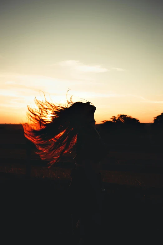 a woman with her hair blowing in the wind, pexels contest winner, ((sunset)), grainy, flowing mane, silhouetted