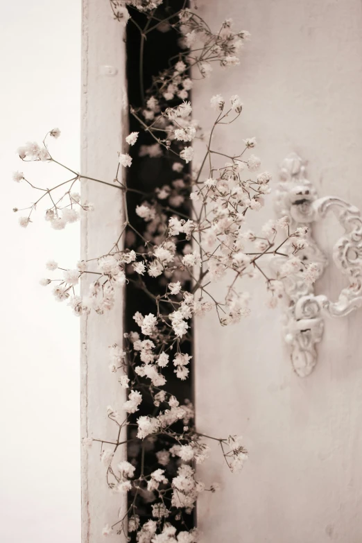 a vase filled with white flowers next to a wall, a black and white photo, unsplash, rococo, made of dried flowers, branching hallways, detail shot, doorway