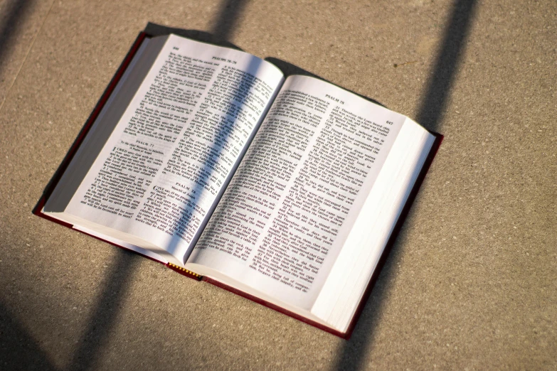 an open book laying on the ground, by Carey Morris, unsplash, unilalianism, creating the false christian god, on a sunny day, royal commission, evenly lit