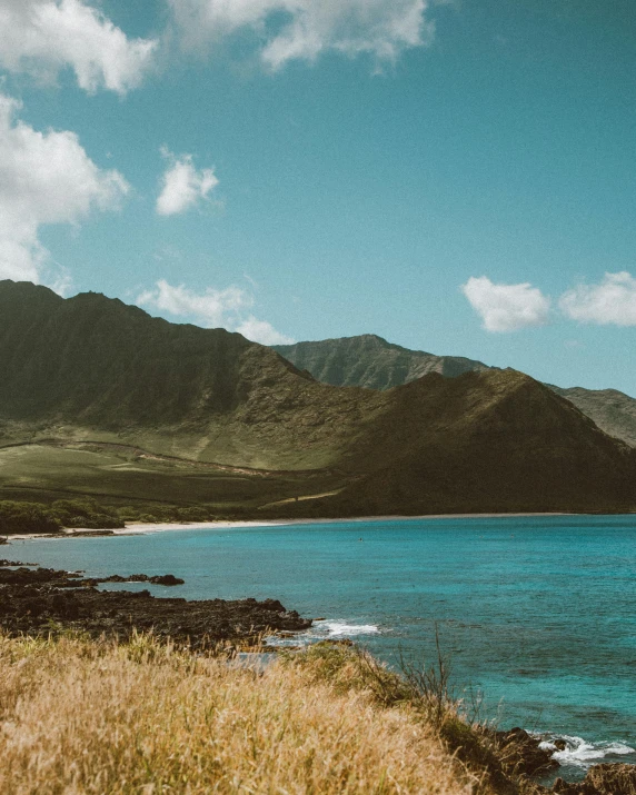 a large body of water sitting next to a lush green hillside, by Kyle Lambert, pexels contest winner, hawaii beach, brown and cyan blue color scheme, standing in front of a mountain, background image