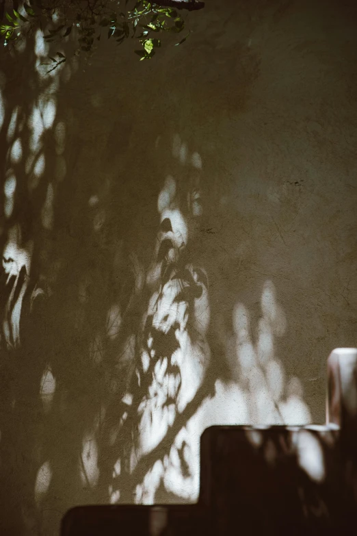 a vase sitting on top of a table next to a wall, inspired by Elsa Bleda, pexels contest winner, shadows from trees, scratches and burns on film, looking across the shoulder, light haze