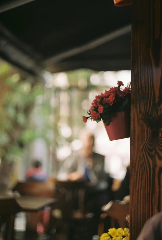 a person sitting at a table in a restaurant, a picture, unsplash, romanticism, window with flower box, red and brown color scheme, outside view, warm wood