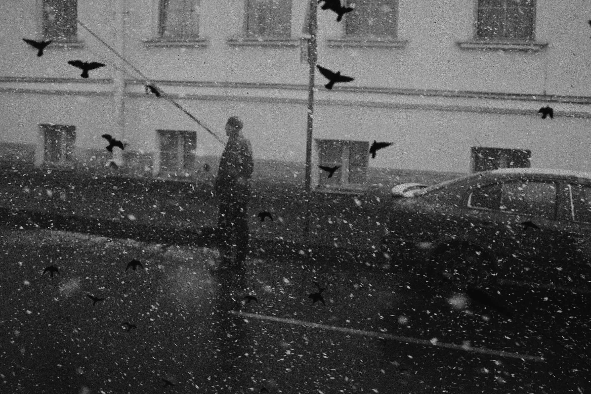 a black and white photo of birds flying in the air, a black and white photo, inspired by Sergio Larraín, surrealism, snow falling, street of moscow, sad man, album cover