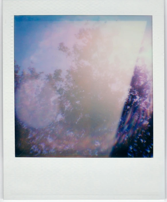 a polaroid picture with a building in the background, by Nathalie Rattner, conceptual art, glossy flecks of iridescence, tall purple and pink trees, ( ( abstract ) ), cyan fog
