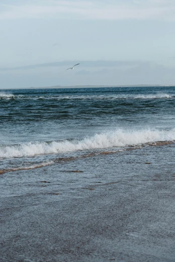 a man standing on top of a beach next to the ocean, by Nina Hamnett, unsplash, minimalism, waves and splashes, panoramic shot, seagull, craigville