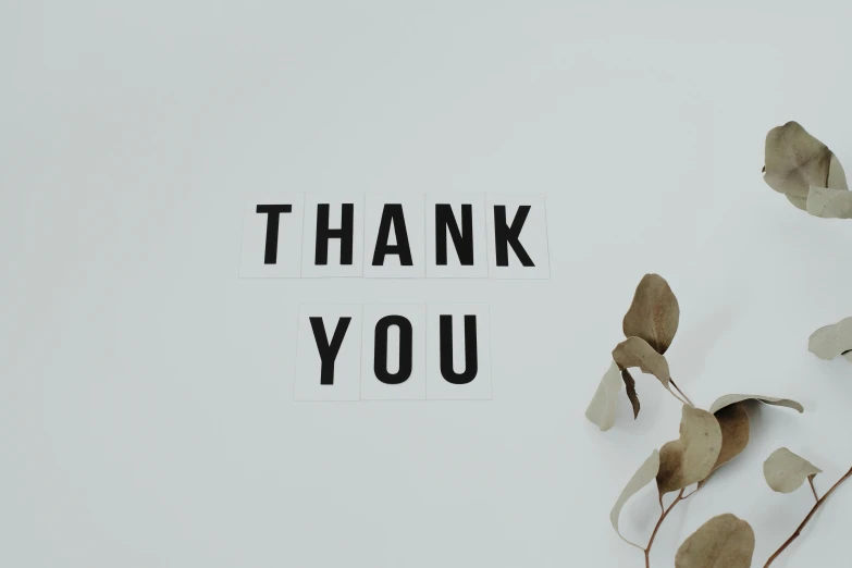 a thank card with the words thank you on it, a black and white photo, by Emma Andijewska, trending on unsplash, white backdrop, background image, minimalist sticker, concept photo