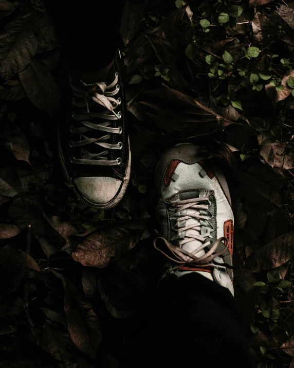 a pair of sneakers sitting on top of a pile of leaves, inspired by Elsa Bleda, unsplash contest winner, renaissance, standing in a dark forest, album cover, postapocalyptic vibes, thumbnail