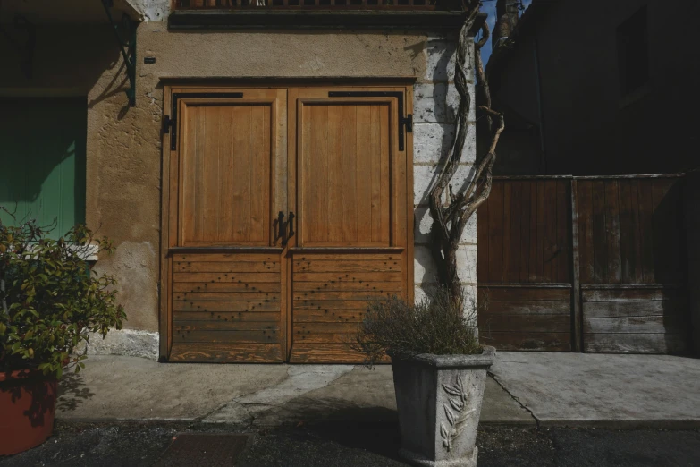 a potted plant sitting in front of a wooden door, inspired by François Barraud, pexels contest winner, in front of a garage, villeneuve, view from the street, preserved historical