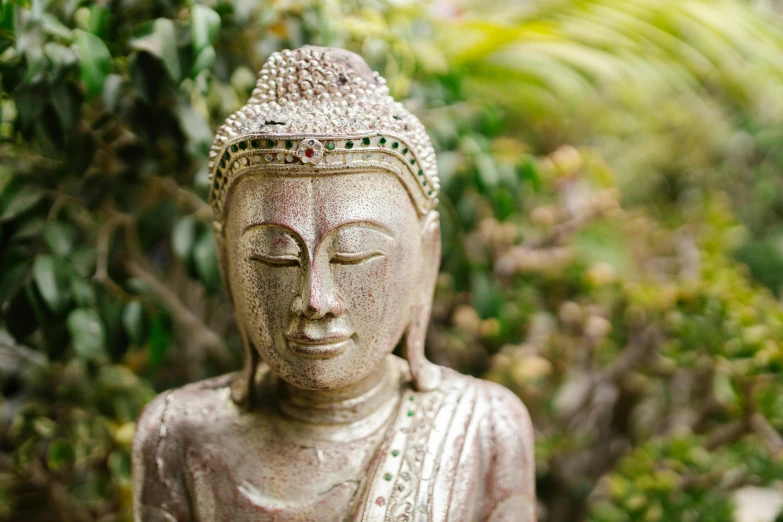 a statue of a buddha in a garden, unsplash, wearing silver silk robe, embedded with gemstones, south east asian with round face, ayahuasca ceremony