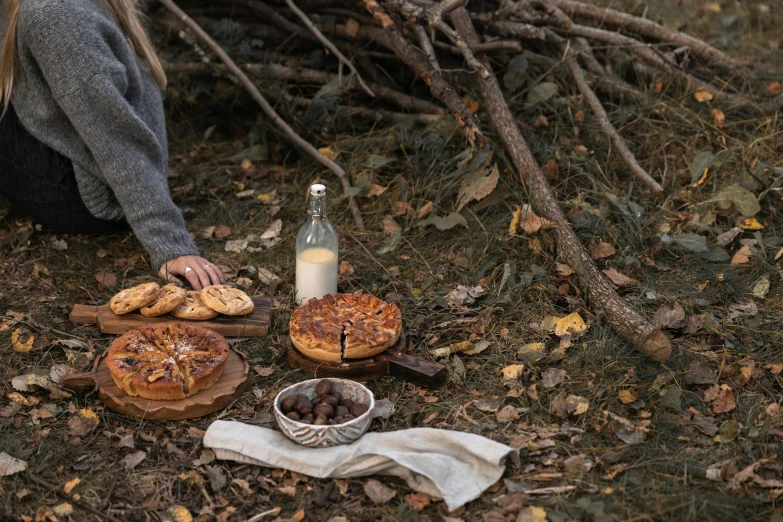 a woman sitting on the ground next to a pile of food, a still life, by Emma Andijewska, unsplash, land art, apple pie, in an arctic forest, breads, carved wood