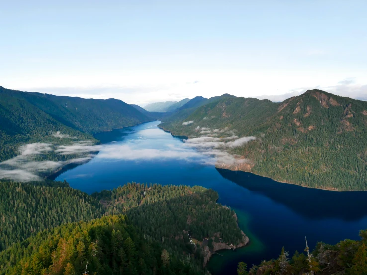 a large body of water surrounded by trees, a photo, cascadia, looking down on the view, avatar image, tv still