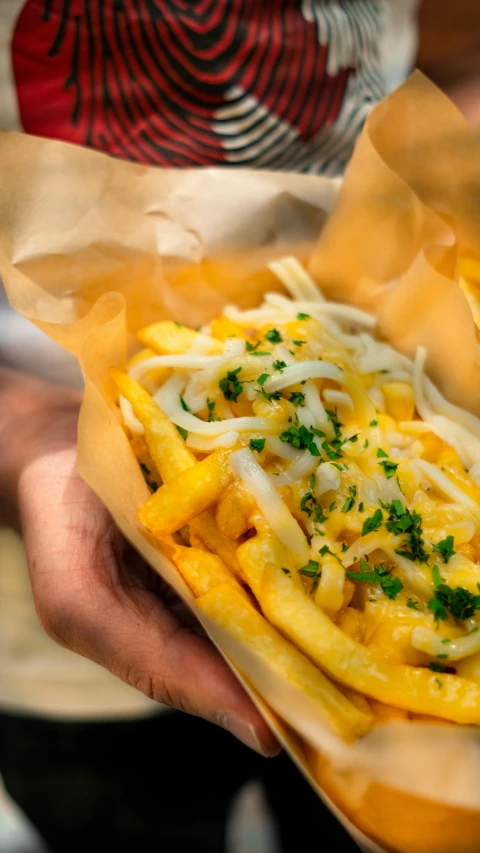 a close up of a person holding a hot dog, inspired by Pia Fries, made of cheese, paul barson, crisp and clear, big crowd