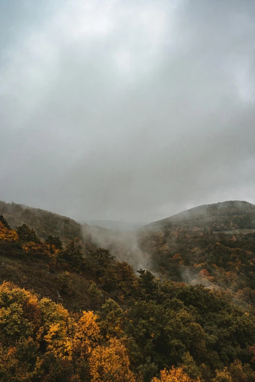 a forest filled with lots of trees under a cloudy sky, by Muggur, in fall, crater, slide show, fog!!!
