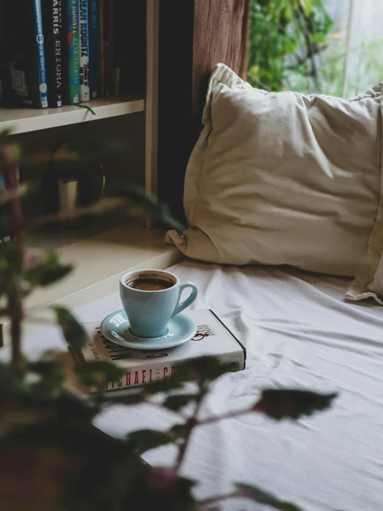 a book sitting on top of a bed next to a cup of coffee, lush and green, pillows, sitting alone in a cafe, looking seductive