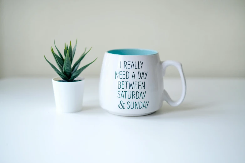 a coffee mug sitting next to a potted plant, instagram, minimalism, sarcastic and friendly, teal, sunday, product shot