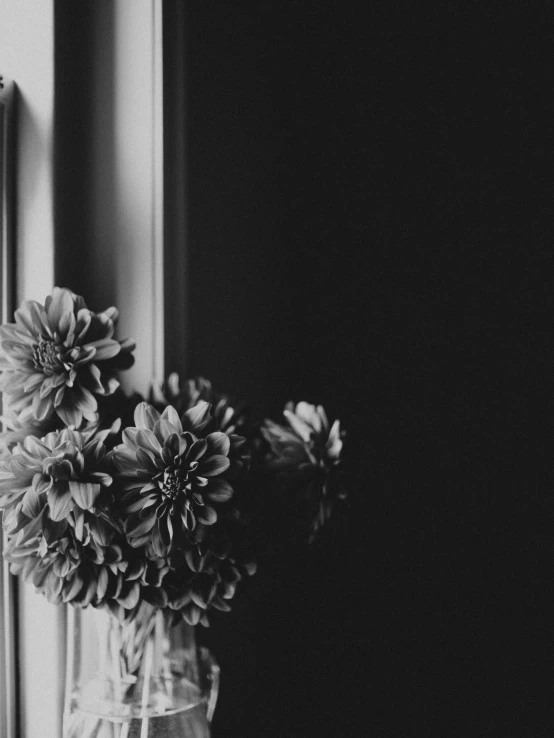 a vase of flowers sitting on a window sill, a black and white photo, by Karl Buesgen, unsplash, dahlias, detailed medium format photo, dark image, profile image