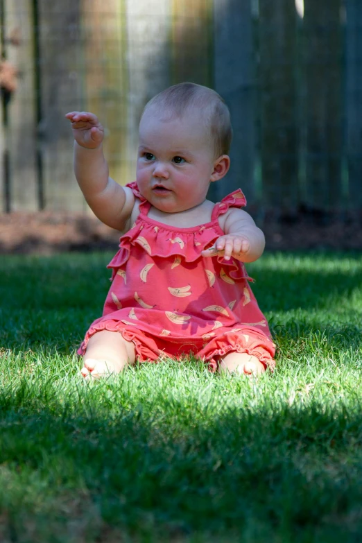a baby sitting in the grass playing with a frisbee, by David Simpson, 8k 50mm iso 10, mini model, lily, sleeveless