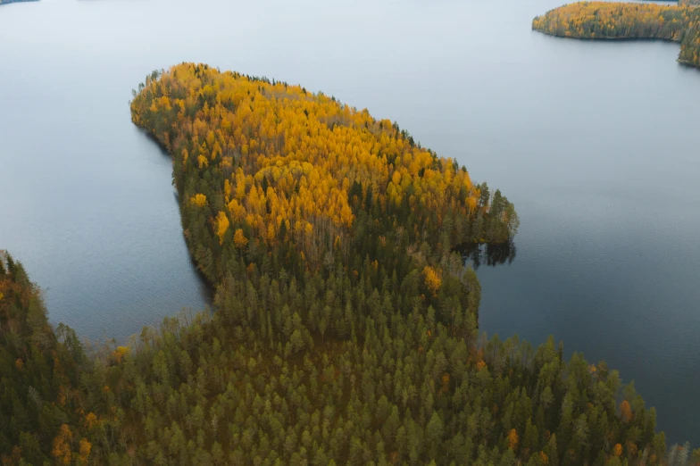 a large body of water surrounded by trees, by Jaakko Mattila, pexels contest winner, hurufiyya, scattered islands, autum, thumbnail, shaped picture