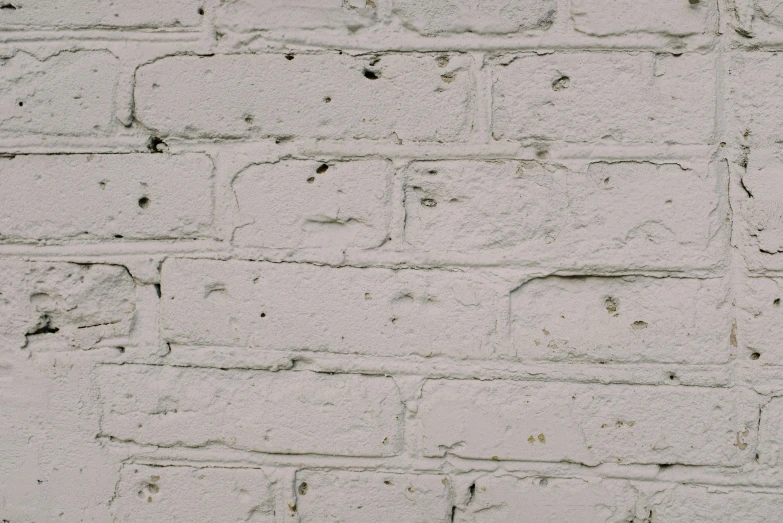 a fire hydrant in front of a white brick wall, inspired by Rachel Whiteread, detail texture, moonlight grey, round-cropped, whites