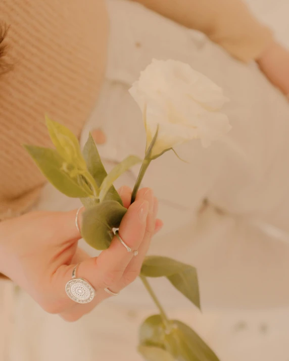 a close up of a person holding a flower, cream and white color scheme, hints of silver jewelry, promo image, multiple stories