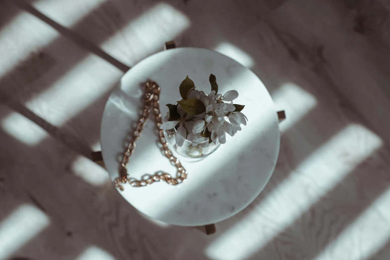 a white plate topped with a flower on top of a table, a marble sculpture, inspired by Elsa Bleda, trending on pexels, chains, sun puddle, taken with sony alpha 9, spring light