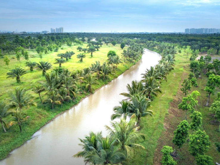 a river running through a lush green field, by Basuki Abdullah, bangkok, the see horse valley, canals, coconut trees