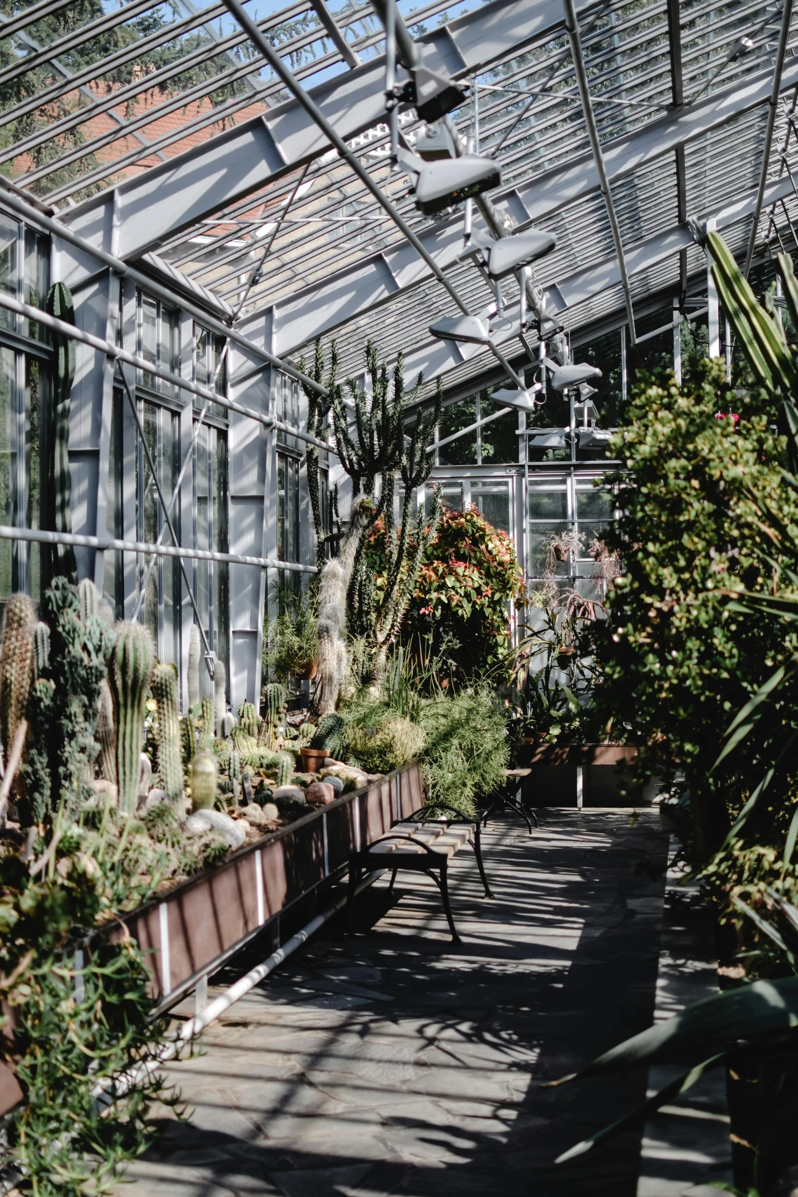 a greenhouse filled with lots of potted plants, an album cover, by Constantin Hansen, trending on unsplash, bauhaus, wide long view, cacti, photo taken on fujifilm superia, a quaint