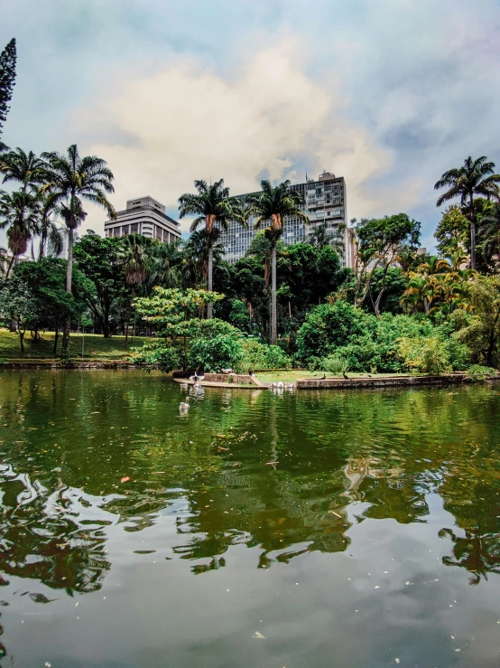 a body of water with trees and buildings in the background, in a jungle environment, parks and gardens, sitting in a reflective pool, avenida paulista