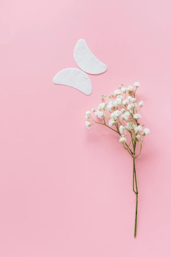 a bunch of baby's breath flowers on a pink background, trending on pexels, aestheticism, half-woman half-butterfly, made of paper, cut out, 15081959 21121991 01012000 4k