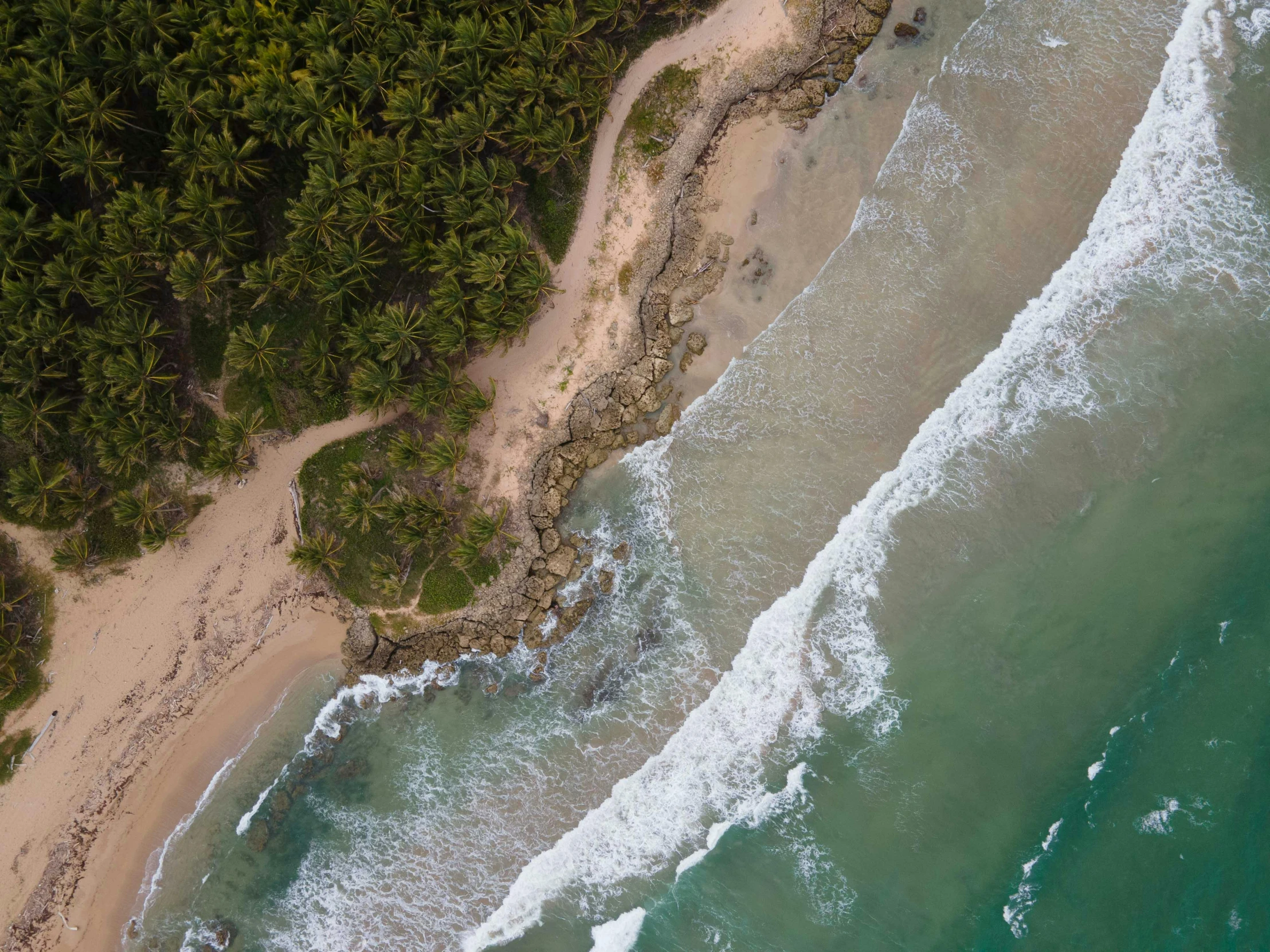 an aerial view of a beach surrounded by palm trees, pexels contest winner, hurufiyya, epic coves crashing waves plants, sri lankan landscape, thumbnail, flat lay