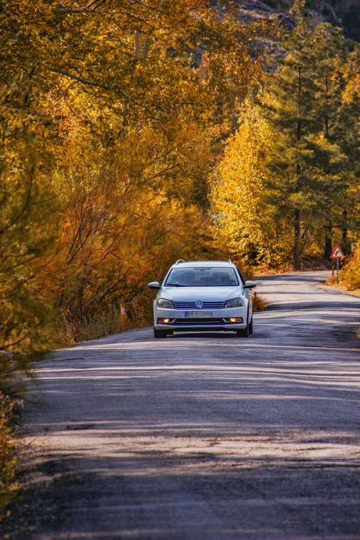 a car that is sitting on the side of a road, a picture, during autumn, avatar image, arrendajo in avila pinewood, blue