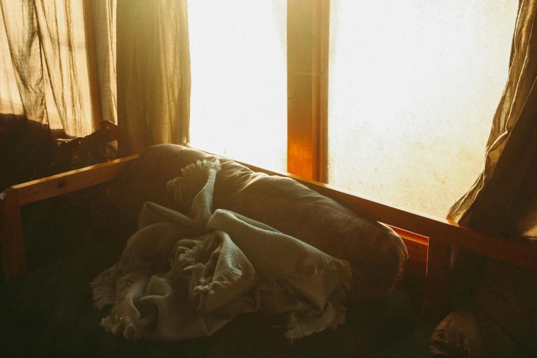 a cat laying on top of a bed next to a window, inspired by Elsa Bleda, unsplash, australian tonalism, sunshafts, old couch, covered with blanket, light inside the hut