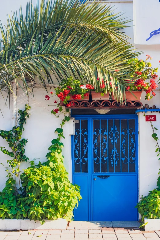 a blue door in front of a white building, lush exotic vegetation, flowers and vines, costa blanca, cottages